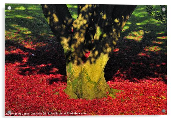 Autumn Colours. Acrylic by Jason Connolly