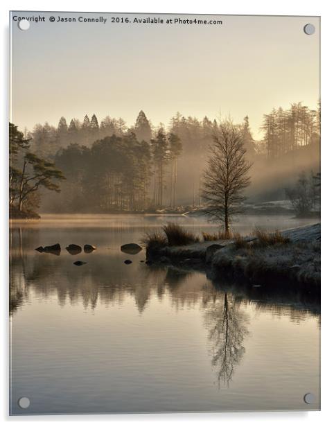 Tarn Hows, Cumbria Acrylic by Jason Connolly