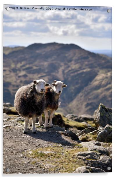 The Langdale Herdies Acrylic by Jason Connolly
