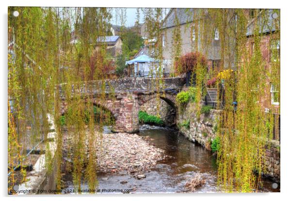 Alyth Bridge through the Trees Acrylic by Tom Gomez
