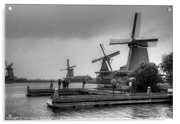 Windmills on the River Zaan B&W Acrylic by Tom Gomez