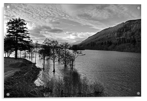 Loch Tay View - B&W Acrylic by Tom Gomez