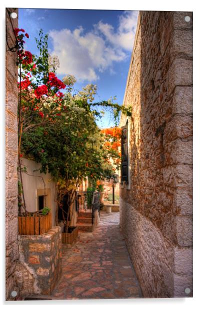 Streets of Halki Acrylic by Tom Gomez