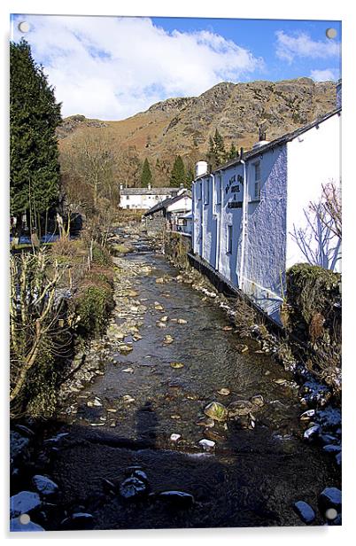 Church Beck at Coniston Acrylic by Tom Gomez