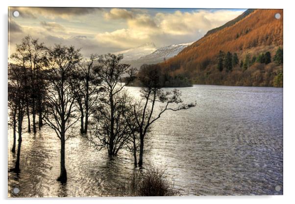 Loch Tay Winter Acrylic by Tom Gomez