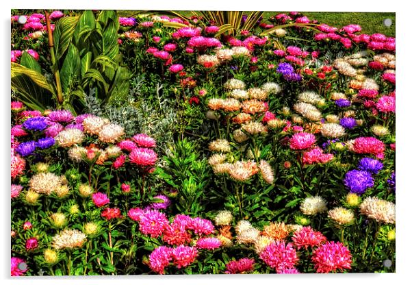 Chrysanthemums Acrylic by Tom Gomez