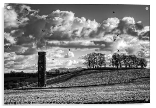 Cammo Tower - B&W Acrylic by Tom Gomez