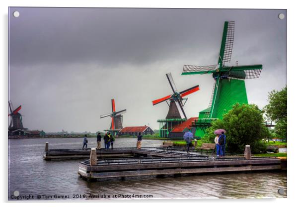 Windmills on the River Zaan Acrylic by Tom Gomez