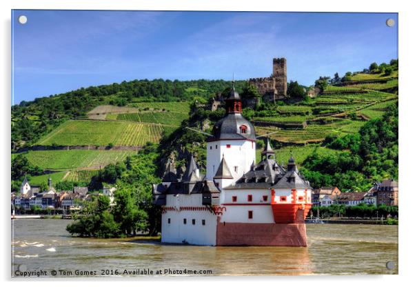 Burg Pfalzgrafenstein Acrylic by Tom Gomez