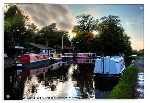 Linlithgow Canal Centre Acrylic by Tom Gomez