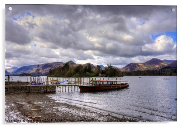 Cruise boat at Derwentwater Pier Acrylic by Tom Gomez