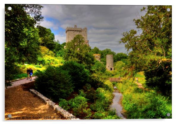Blarney Castle and Gardens Acrylic by Tom Gomez