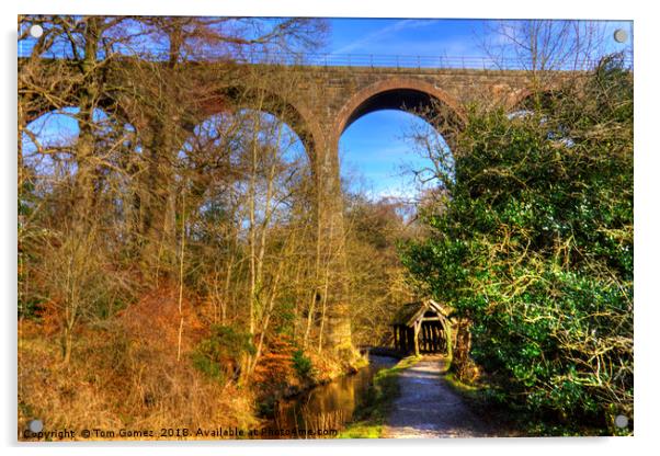Almondell Viaduct Acrylic by Tom Gomez