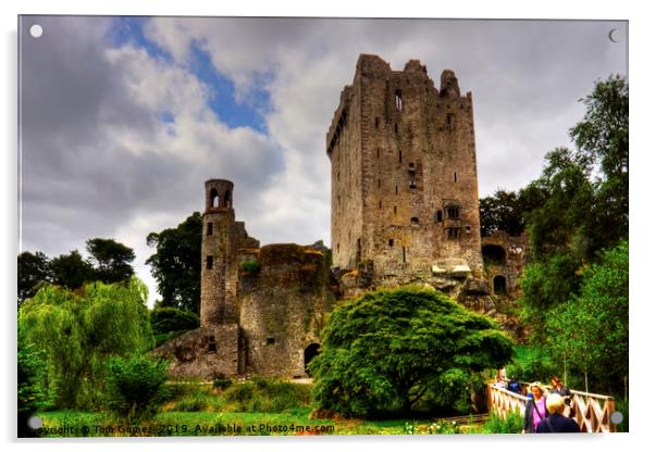 The way to Blarney Castle Acrylic by Tom Gomez