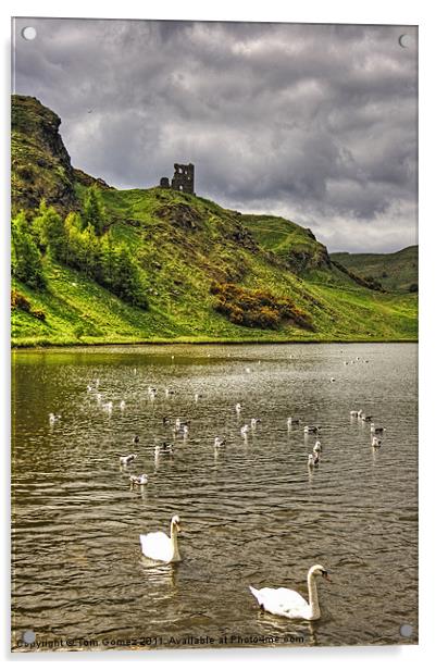 St Margaret's Loch Acrylic by Tom Gomez