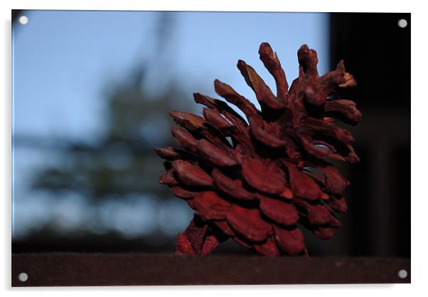 The Cone Acrylic by Euan Greenoak