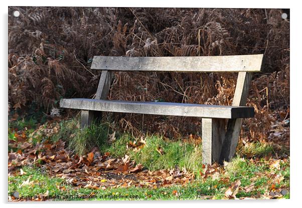 Lonely Bench Acrylic by Lise Baker