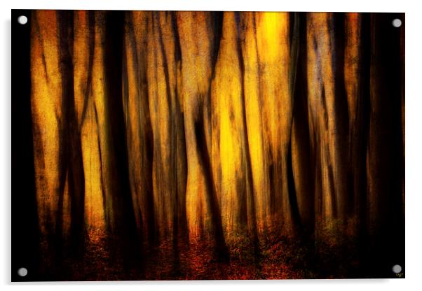 Autumn Forest Abstract Acrylic by Chris Lord