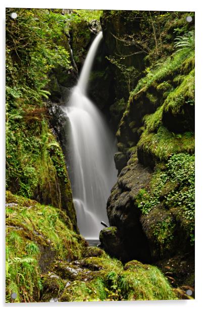  Aira Force Waterfall Acrylic by Karl Butler