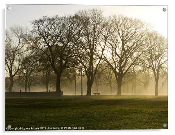 Misty Morning Acrylic by Lynne Morris (Lswpp)
