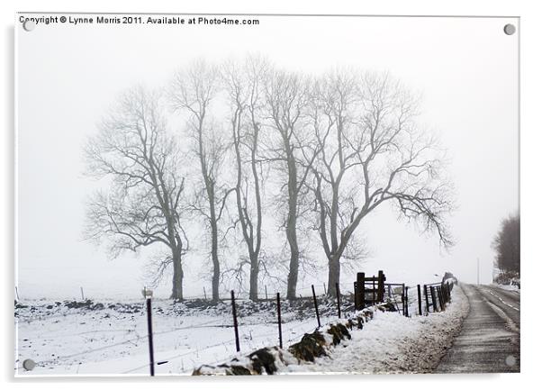 A Winter Morning Acrylic by Lynne Morris (Lswpp)
