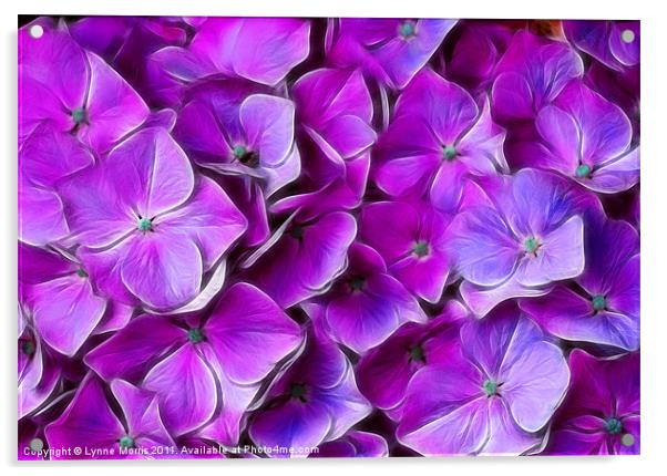 Fantasy Flowers Acrylic by Lynne Morris (Lswpp)