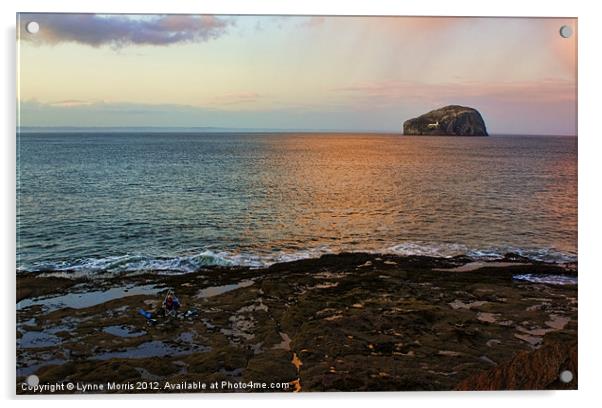 Sunset Over Bass Rock Acrylic by Lynne Morris (Lswpp)