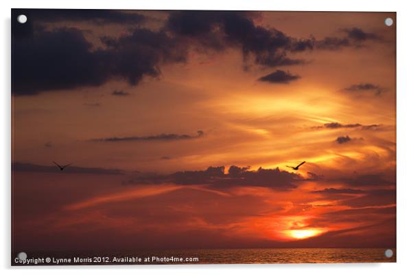 Blazings Sunset Acrylic by Lynne Morris (Lswpp)