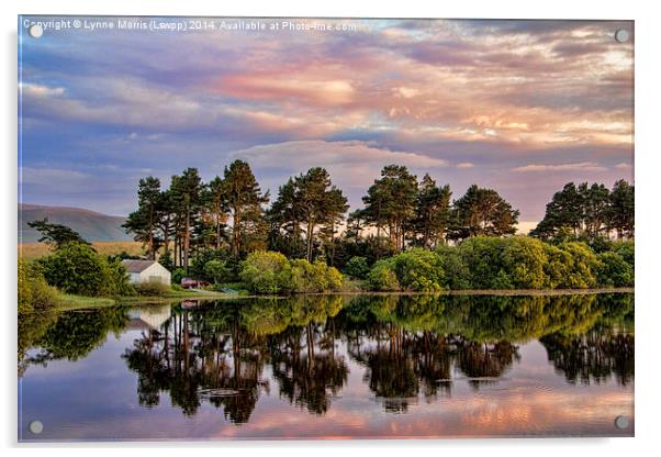 Sunset Reflections Acrylic by Lynne Morris (Lswpp)