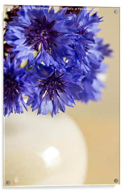 Blue  Cornflowers in a vase Acrylic by Lynne Morris (Lswpp)