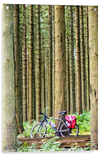 Bike In The Woods Acrylic by Lynne Morris (Lswpp)