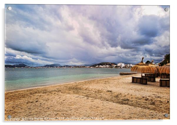 Puerto de Pollensa Beach Acrylic by Lynne Morris (Lswpp)