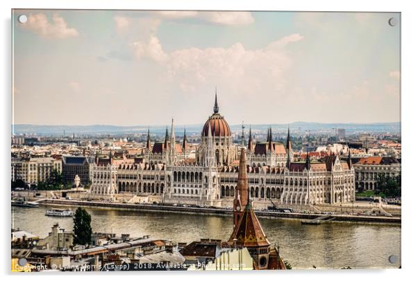 Beautiful Budapest Acrylic by Lynne Morris (Lswpp)