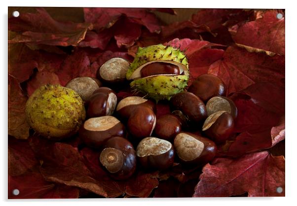 Conkers Acrylic by Eddie John