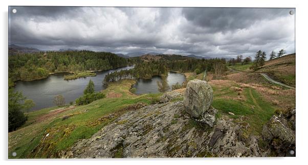  Tarn Hows Lake District Acrylic by Eddie John
