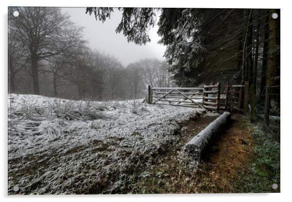 A winter walk Acrylic by Eddie John