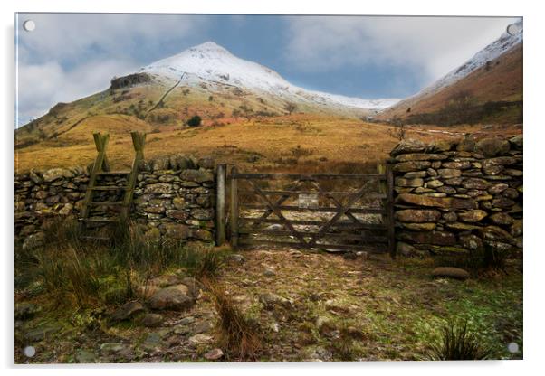 High Hartsop dodd lake district Acrylic by Eddie John