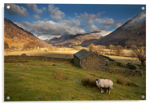 Hartsop valley Lake district Cumbria Acrylic by Eddie John