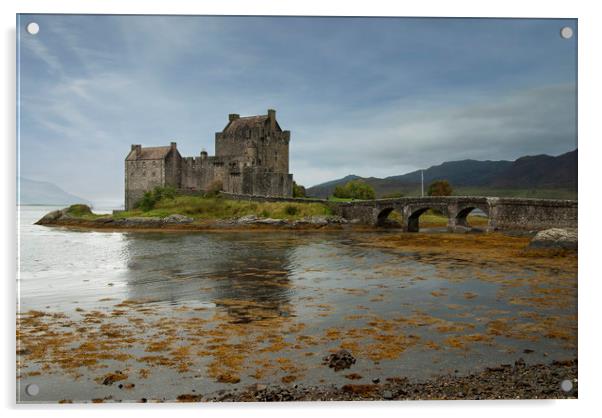 Eileen Donan castle Scotland   Acrylic by Eddie John