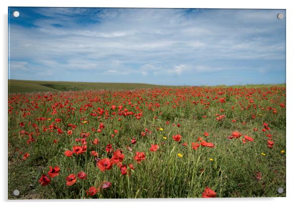 Field of poppies Acrylic by Eddie John