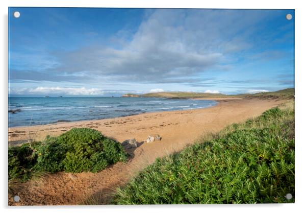 Constantine bay and trevose head cornwall  Acrylic by Eddie John