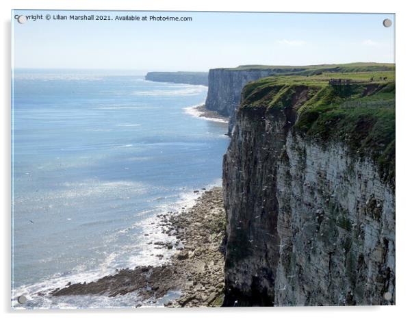 Bempton Cliffs Acrylic by Lilian Marshall
