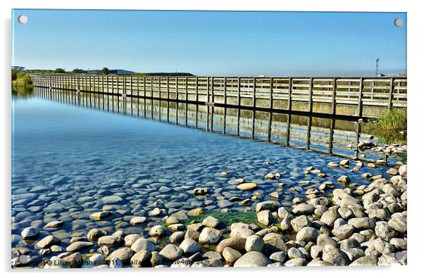 Fleetwood Nature Reserve. Acrylic by Lilian Marshall