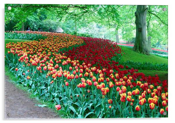 Keukenhof Gardens Acrylic by Lilian Marshall