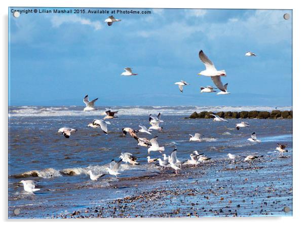  Seagulls on the Beach, Acrylic by Lilian Marshall