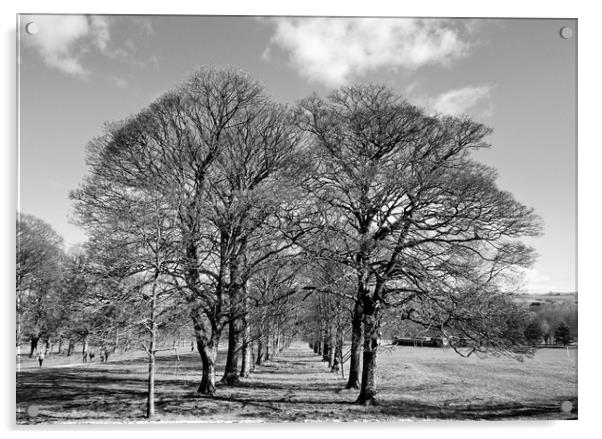 Avenue of trees.  Acrylic by Lilian Marshall