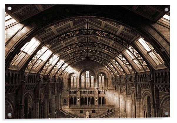 natural history museum main hall Acrylic by paul forgette
