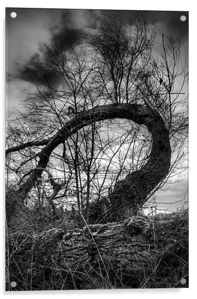 The Tree on the bypass. Acrylic by Ray Hammond