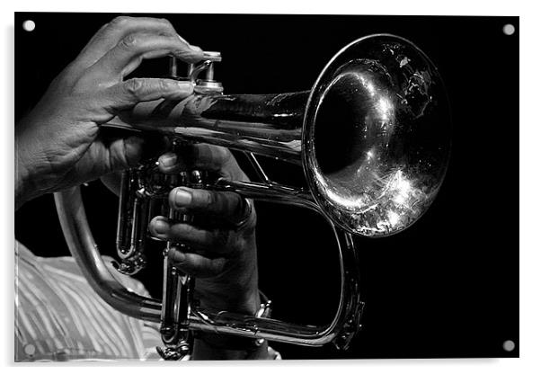 The Trumpet / flugelhorn player Acrylic by Hush Naidoo