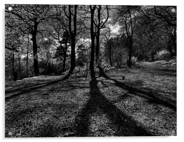  The Road Not Taken in Billinge Woods Acrylic by Sandra Pledger